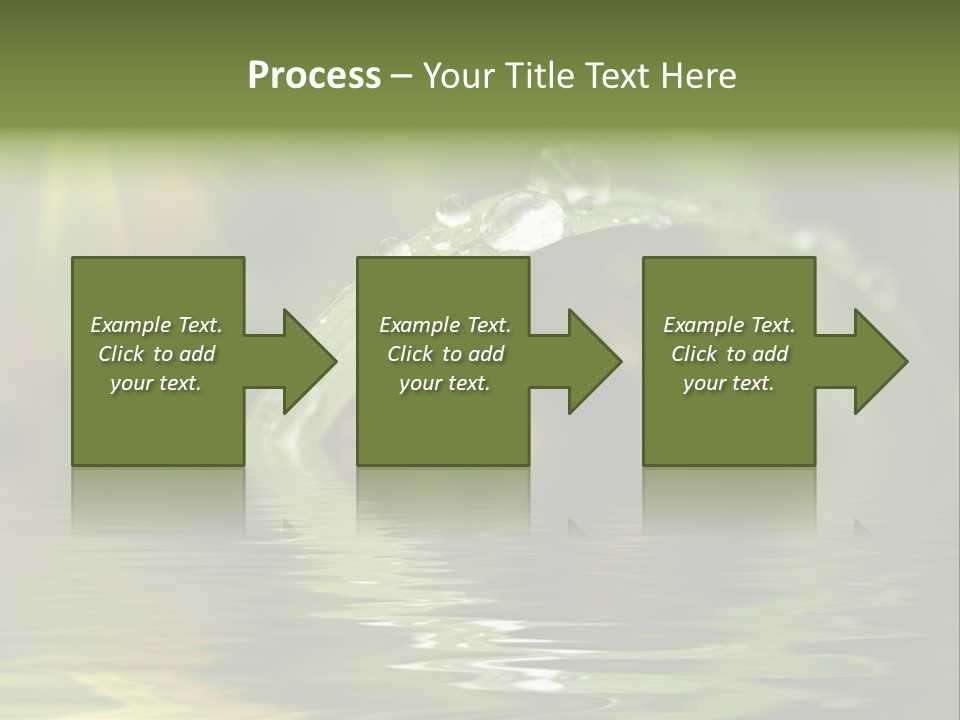 Green Grass With Raindrops Background PowerPoint Template