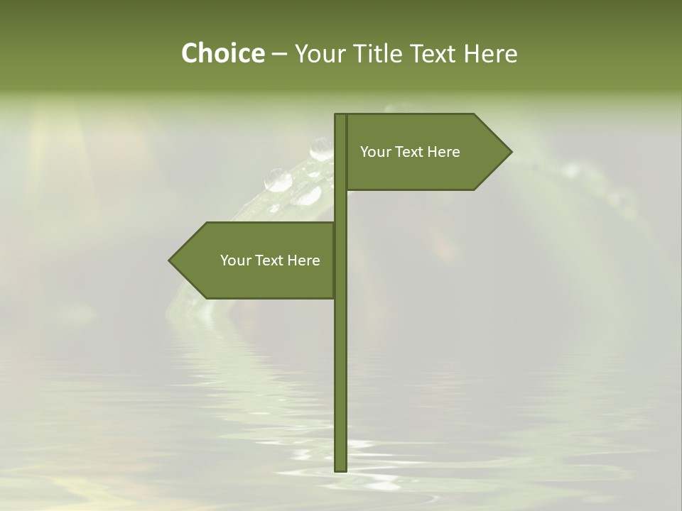 Green Grass With Raindrops Background PowerPoint Template