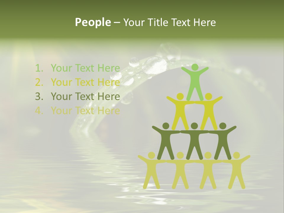 Green Grass With Raindrops Background PowerPoint Template