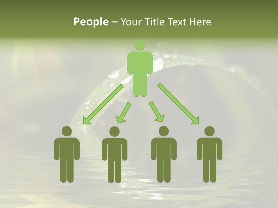 Green Grass With Raindrops Background PowerPoint Template