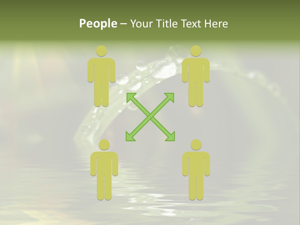 Green Grass With Raindrops Background PowerPoint Template