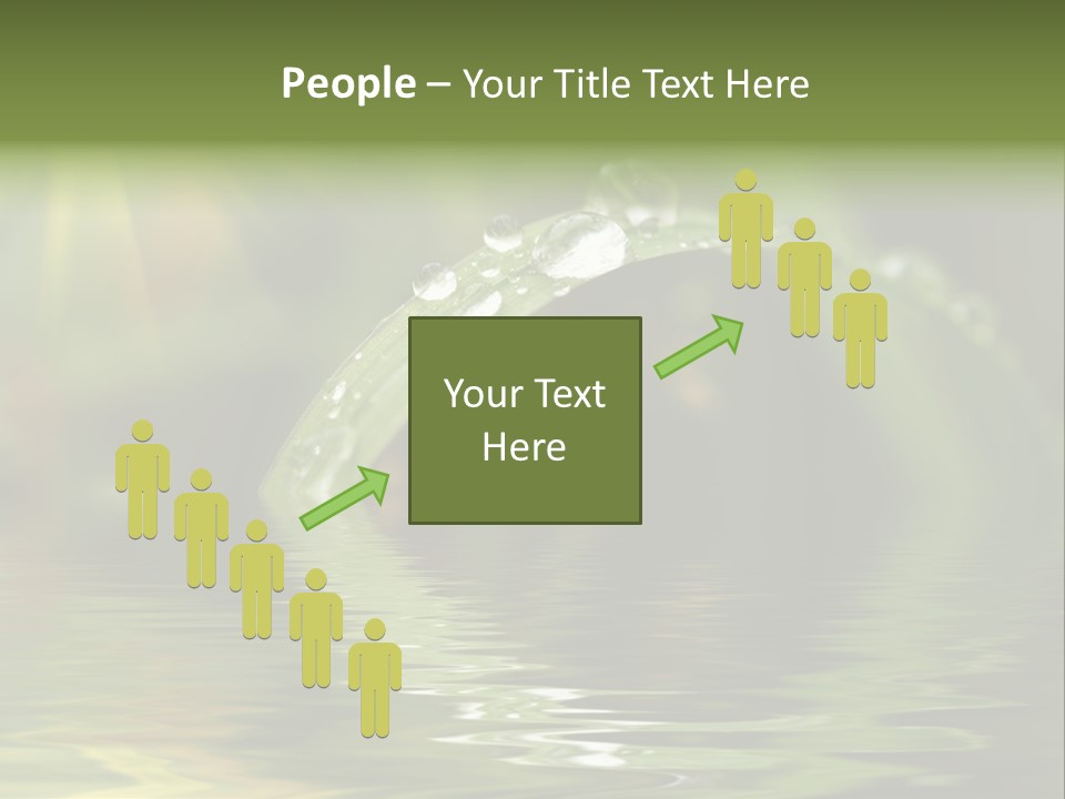 Green Grass With Raindrops Background PowerPoint Template