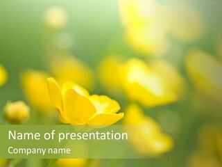 Field Flowers PowerPoint Template