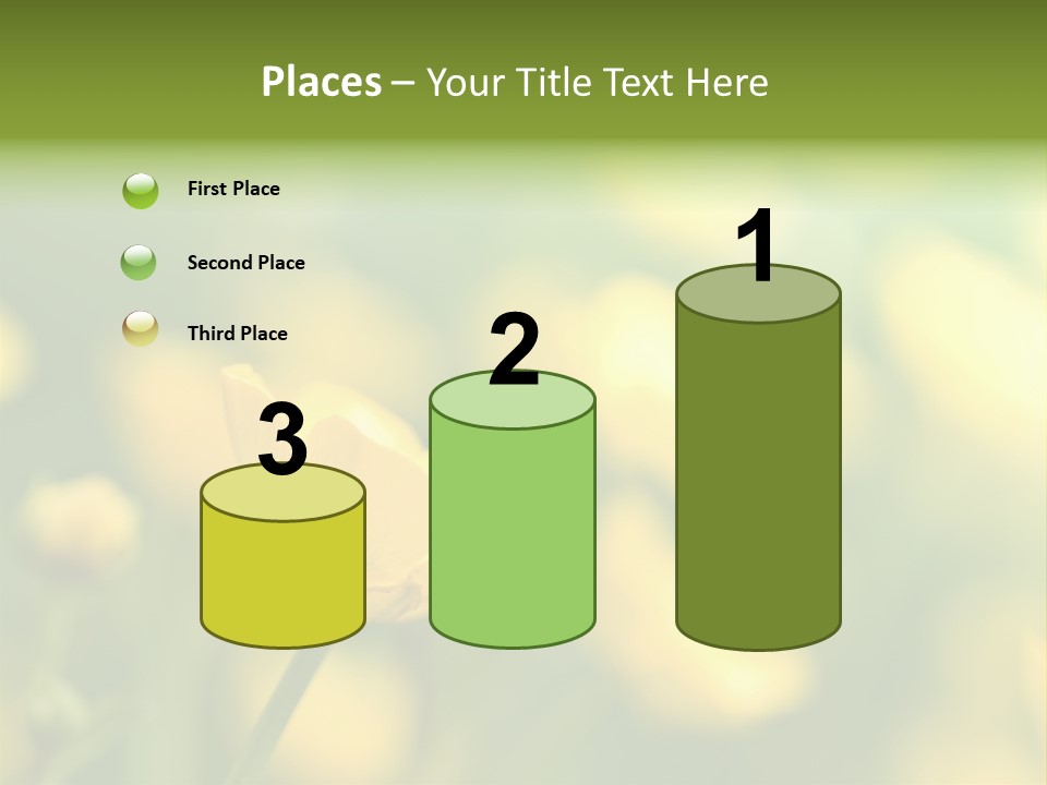 Field Flowers PowerPoint Template