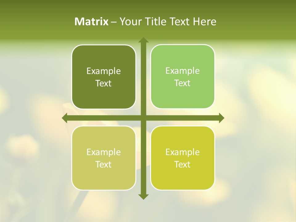 Field Flowers PowerPoint Template