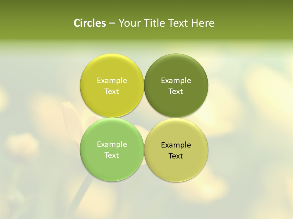 Field Flowers PowerPoint Template