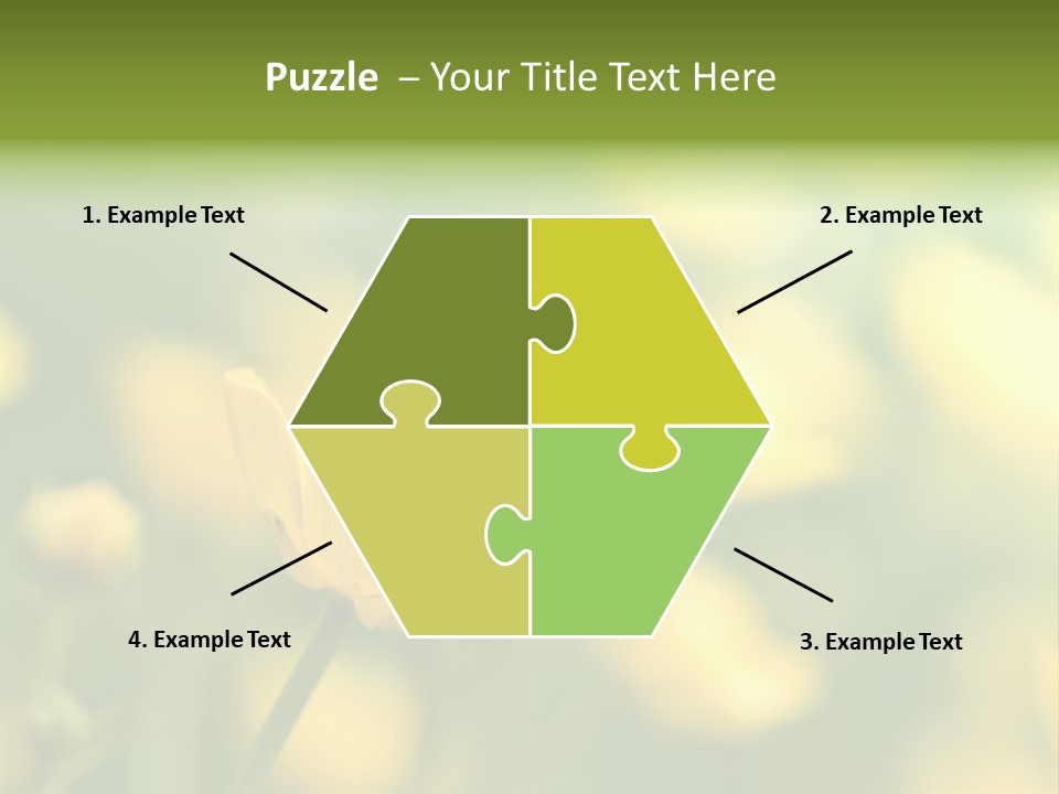 Field Flowers PowerPoint Template