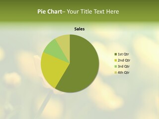 Field Flowers PowerPoint Template