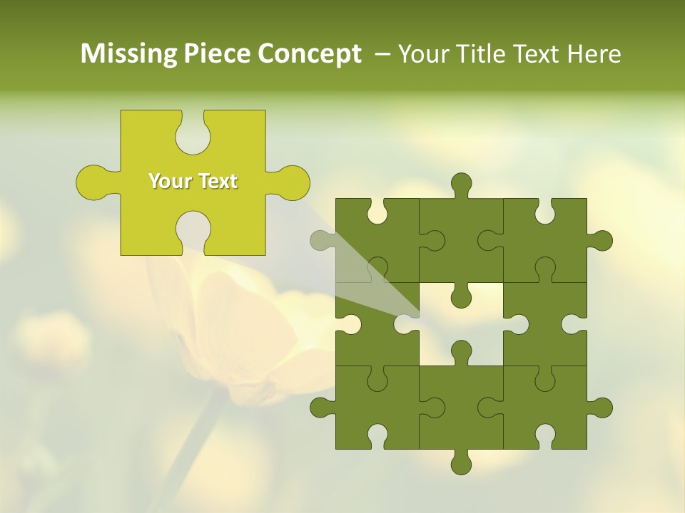 Field Flowers PowerPoint Template