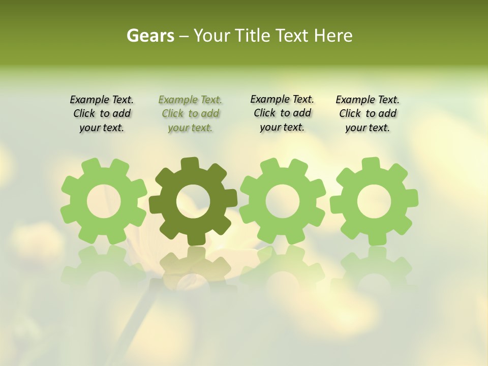 Field Flowers PowerPoint Template