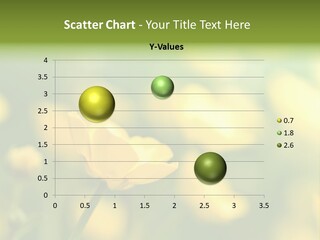 Field Flowers PowerPoint Template