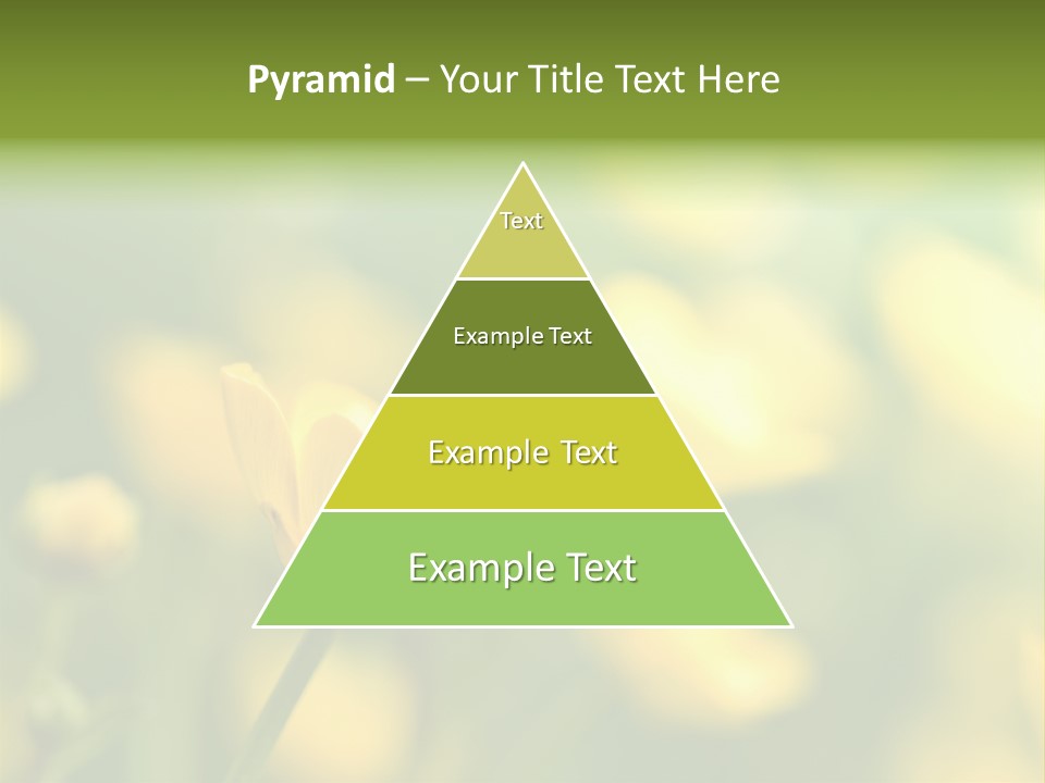 Field Flowers PowerPoint Template