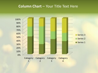 Field Flowers PowerPoint Template