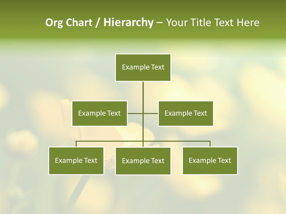 Field Flowers PowerPoint Template