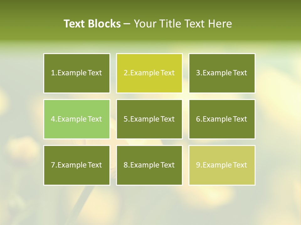 Field Flowers PowerPoint Template