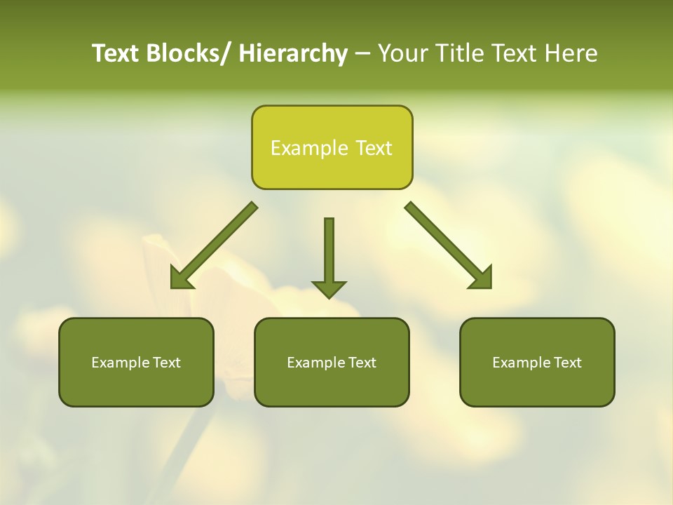 Field Flowers PowerPoint Template