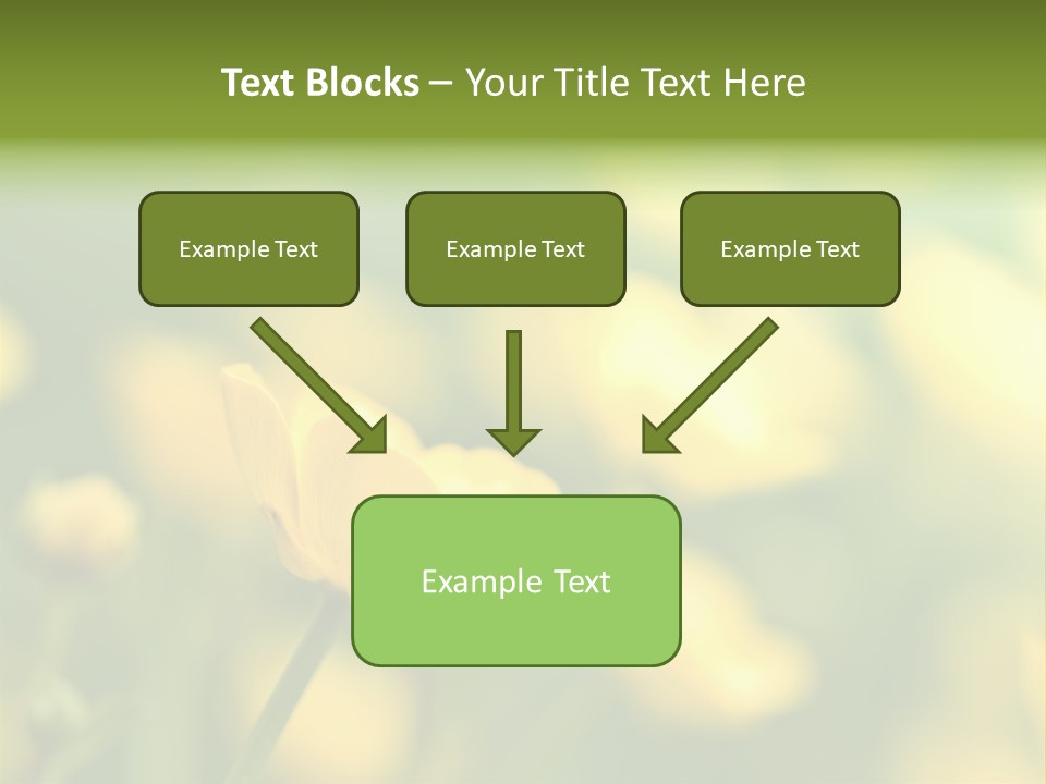 Field Flowers PowerPoint Template