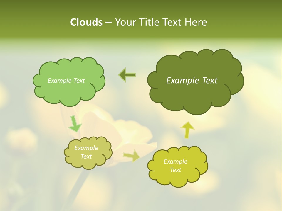 Field Flowers PowerPoint Template