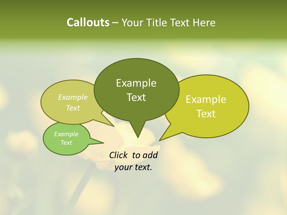 Field Flowers PowerPoint Template