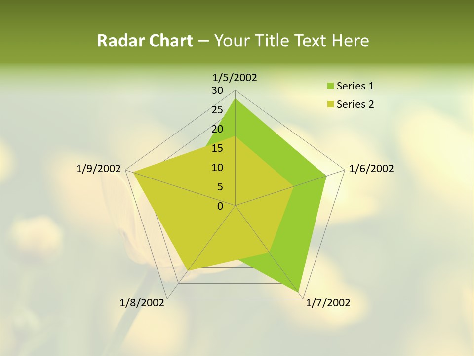 Field Flowers PowerPoint Template
