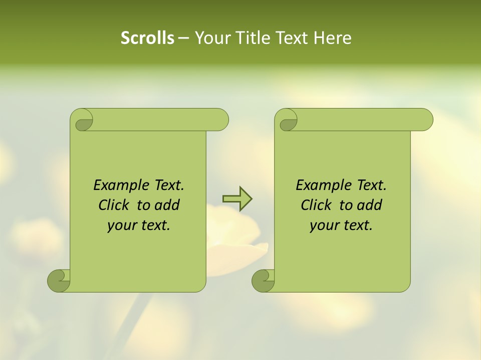 Field Flowers PowerPoint Template