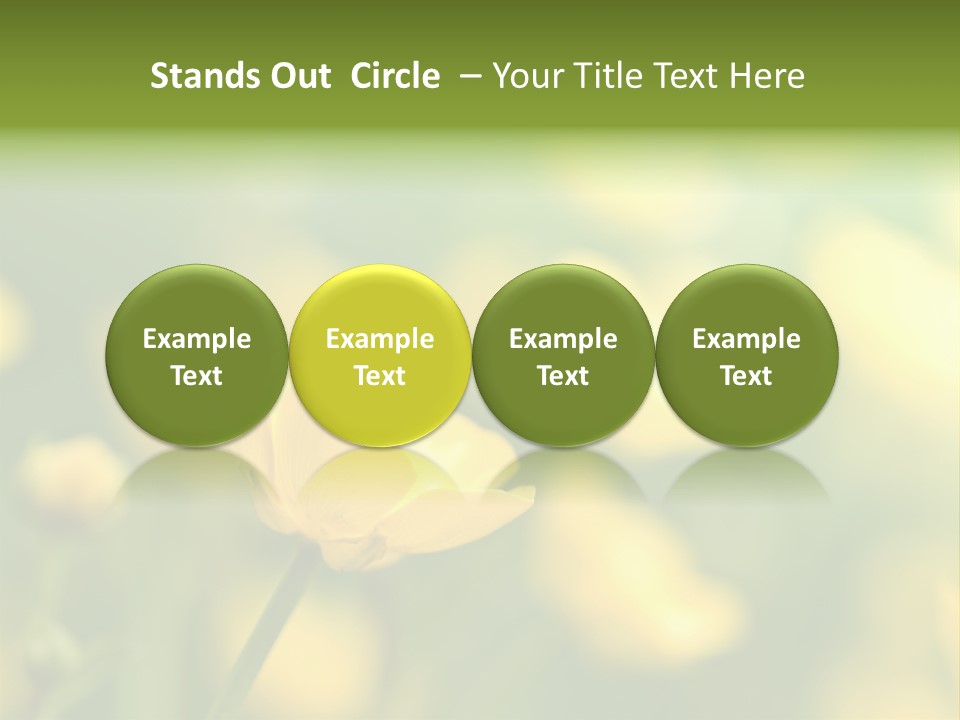 Field Flowers PowerPoint Template