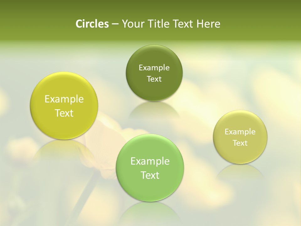 Field Flowers PowerPoint Template