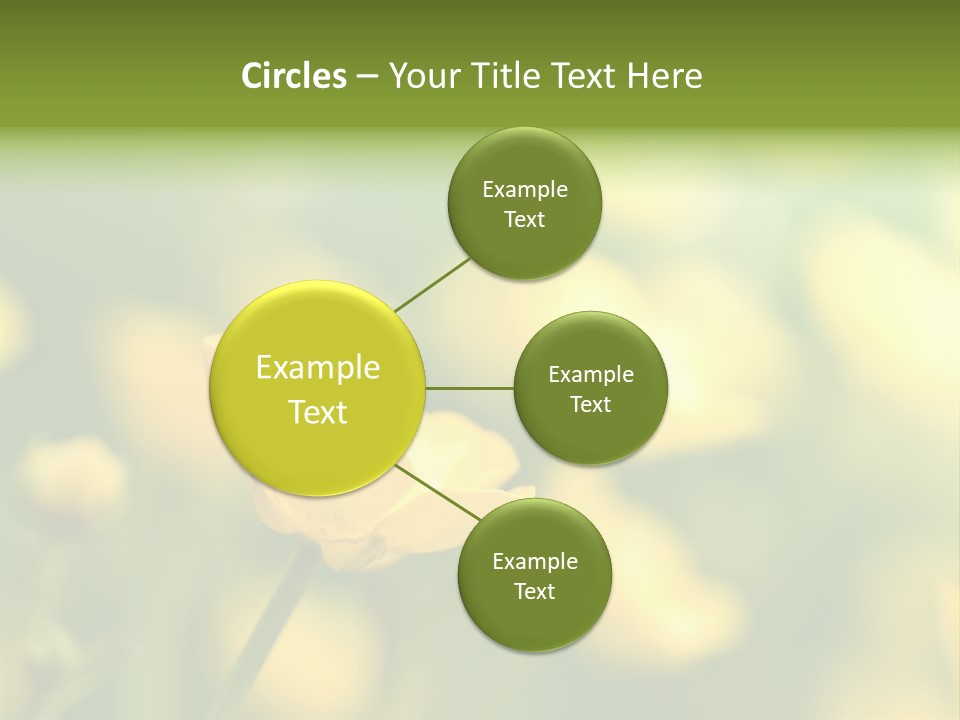 Field Flowers PowerPoint Template