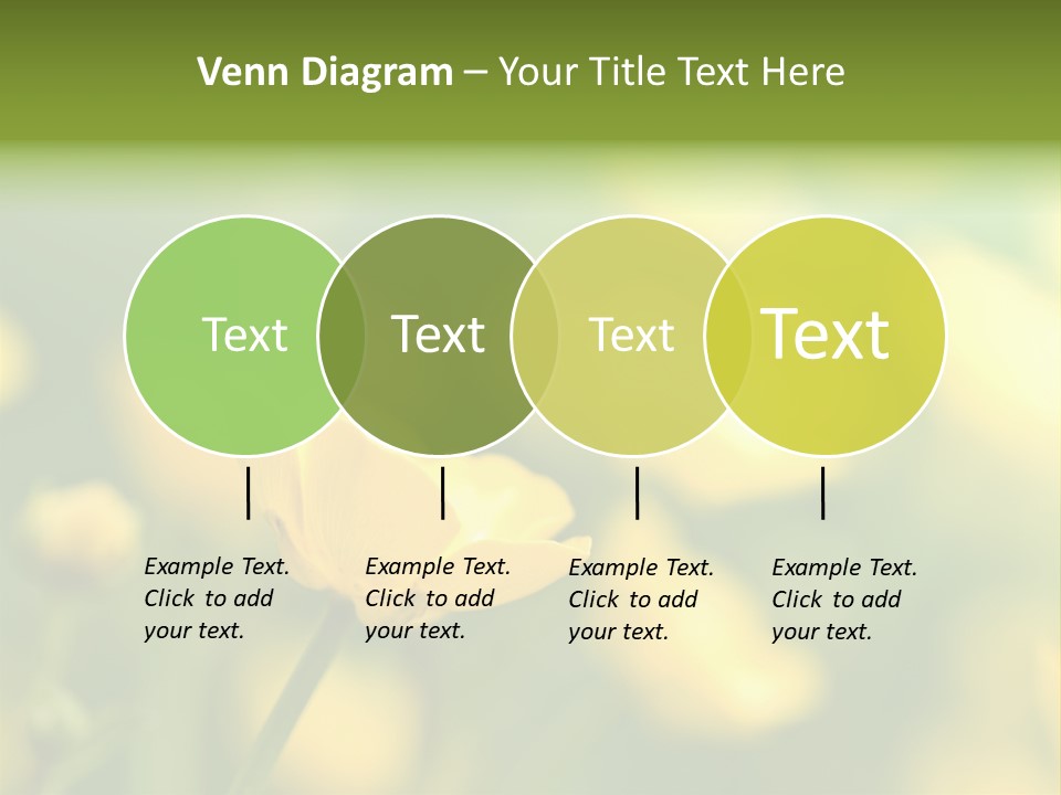 Field Flowers PowerPoint Template