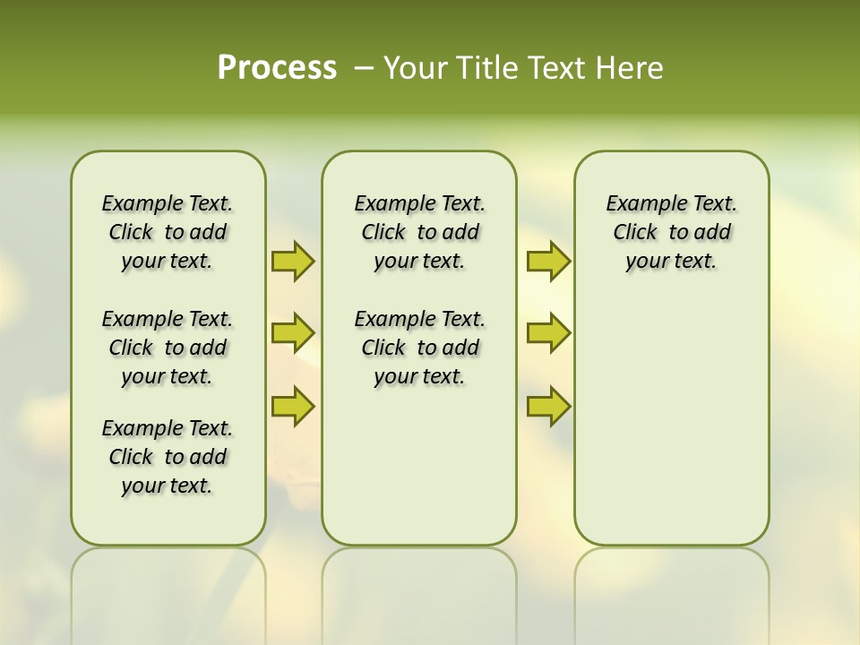Field Flowers PowerPoint Template