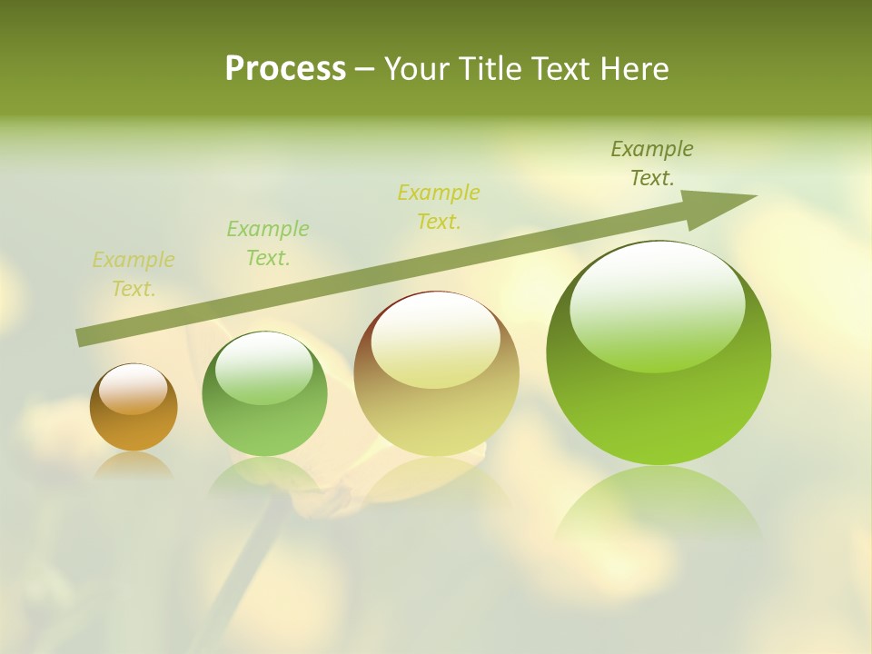Field Flowers PowerPoint Template