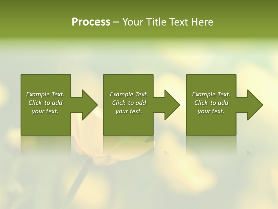 Field Flowers PowerPoint Template