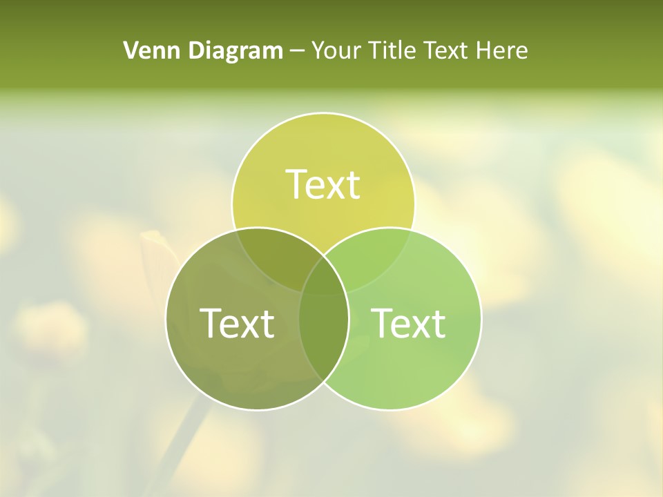 Field Flowers PowerPoint Template