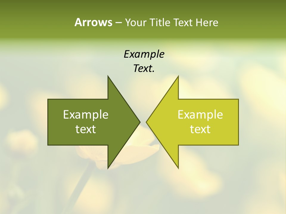 Field Flowers PowerPoint Template