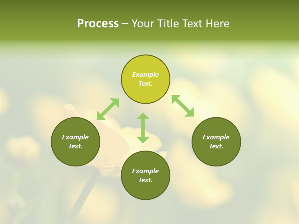 Field Flowers PowerPoint Template