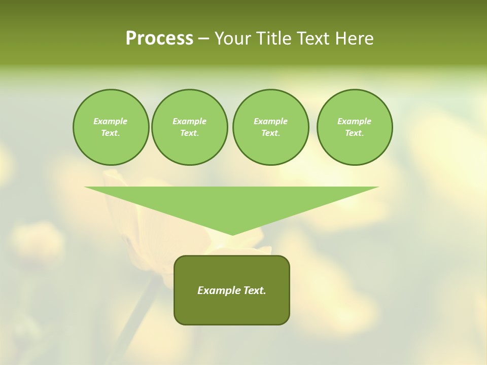Field Flowers PowerPoint Template