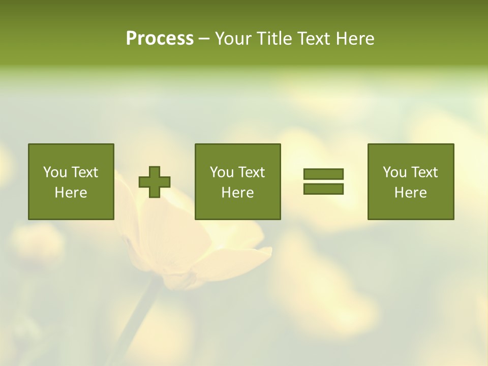 Field Flowers PowerPoint Template