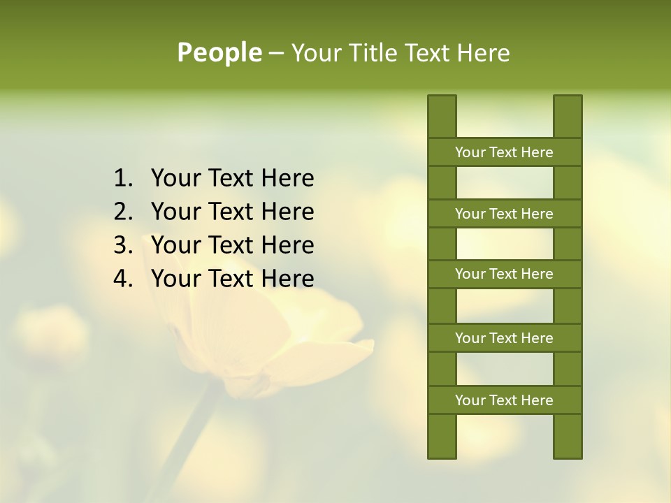 Field Flowers PowerPoint Template