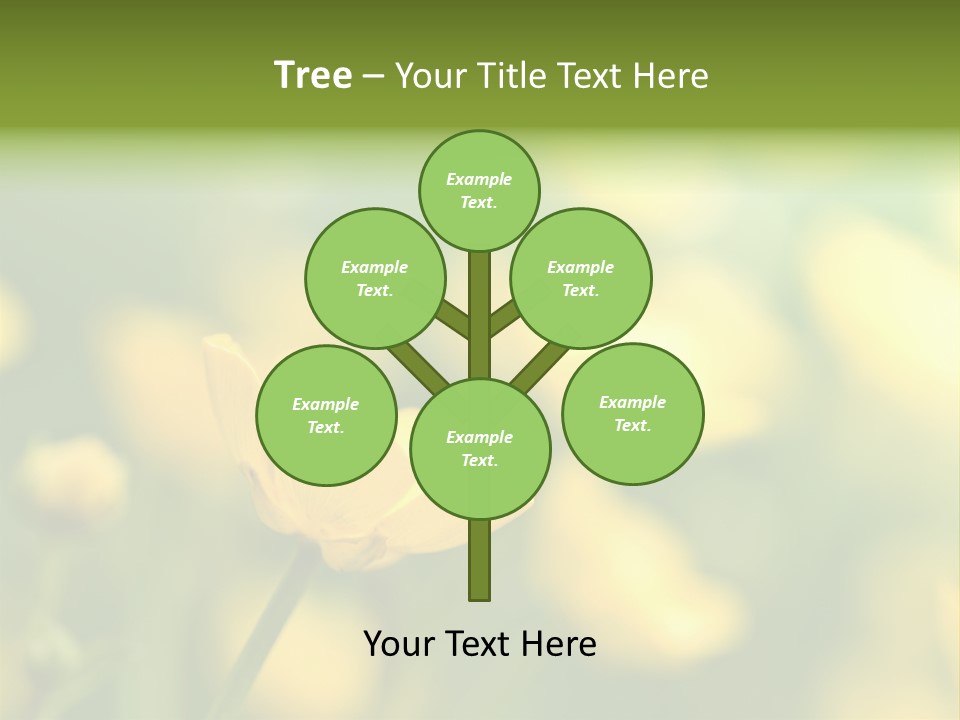 Field Flowers PowerPoint Template