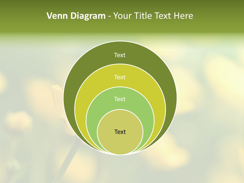 Field Flowers PowerPoint Template