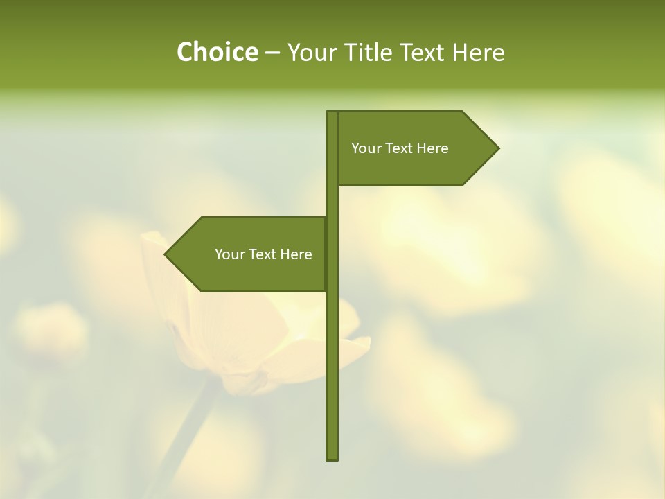 Field Flowers PowerPoint Template