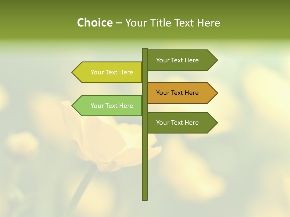 Field Flowers PowerPoint Template