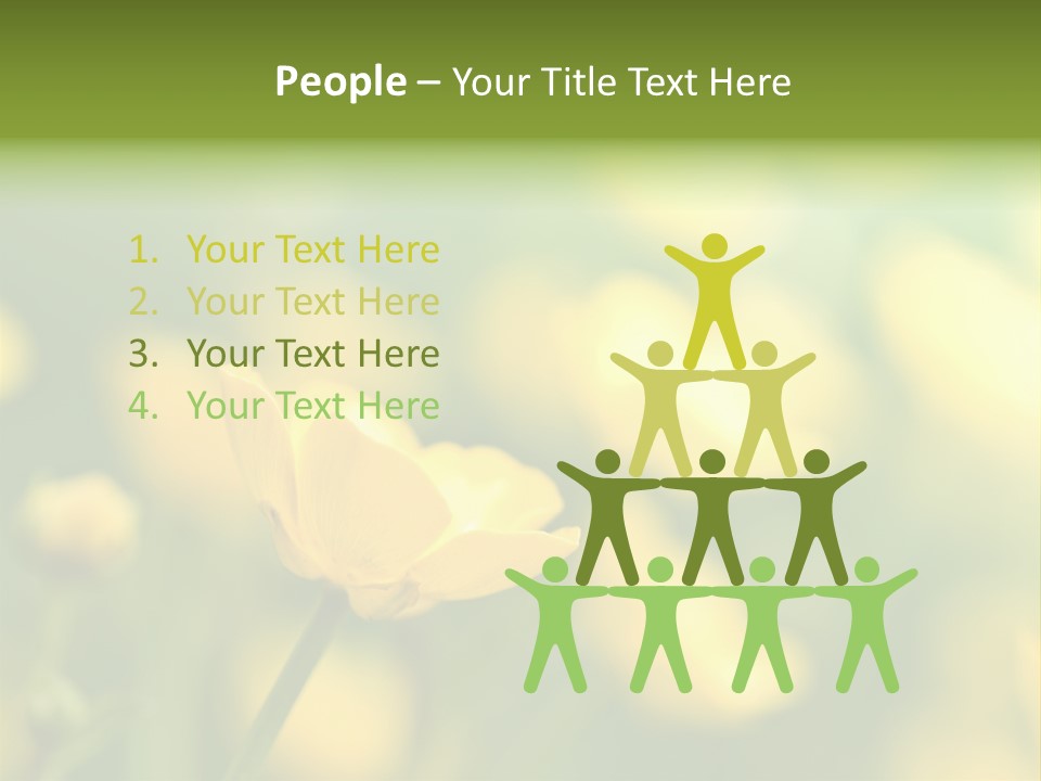 Field Flowers PowerPoint Template