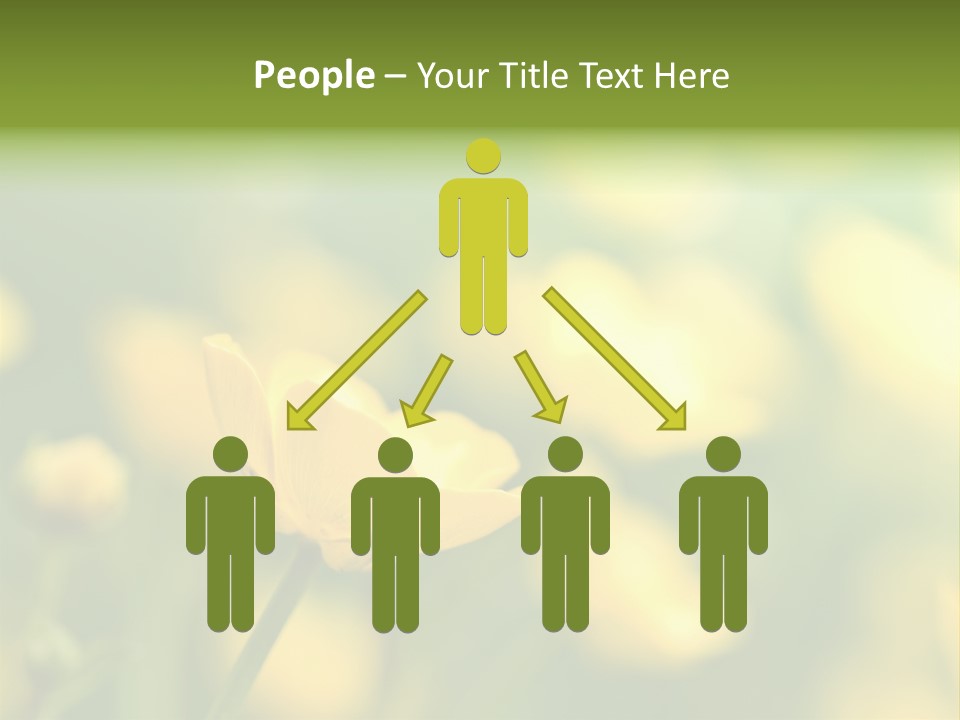 Field Flowers PowerPoint Template