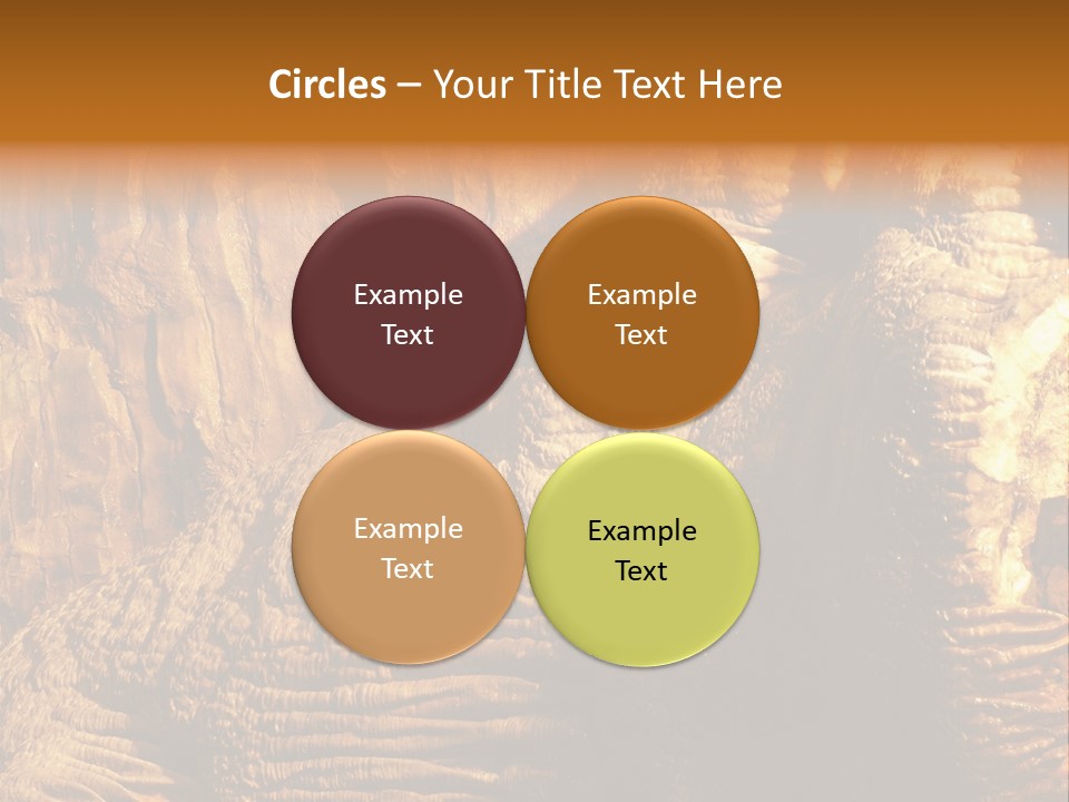 Wall Of Howe Caverns New York PowerPoint Template