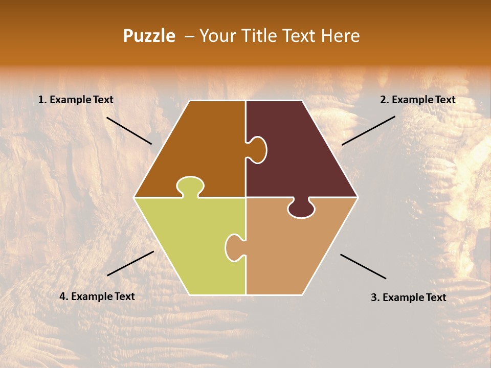 Wall Of Howe Caverns New York PowerPoint Template