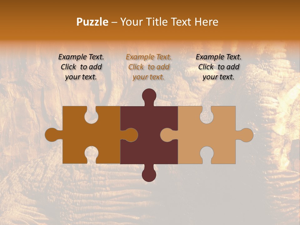 Wall Of Howe Caverns New York PowerPoint Template