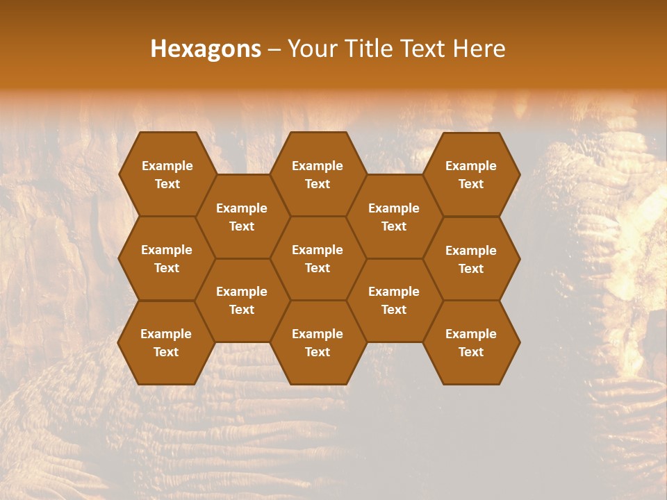 Wall Of Howe Caverns New York PowerPoint Template