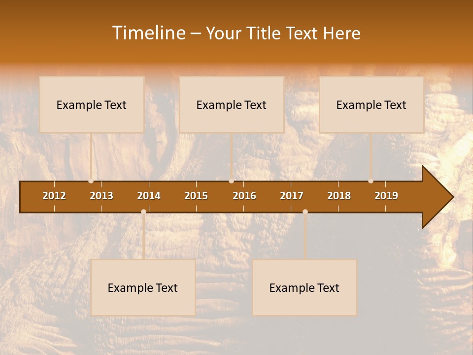 Wall Of Howe Caverns New York PowerPoint Template