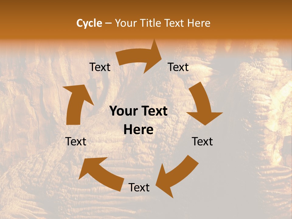 Wall Of Howe Caverns New York PowerPoint Template